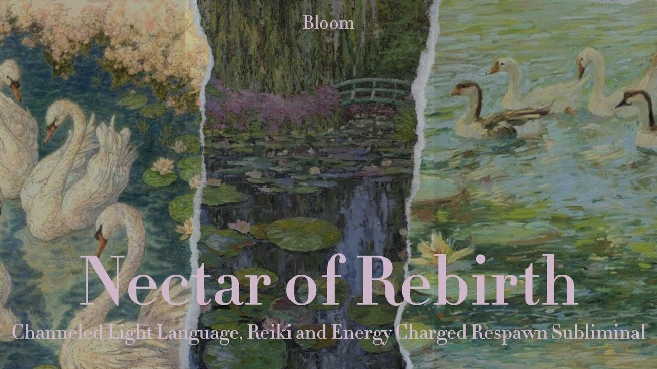 Nectar of Rebirth 🫧𓇼𓏲*ੈ✩‧₊˚🎐𓍯𓂃