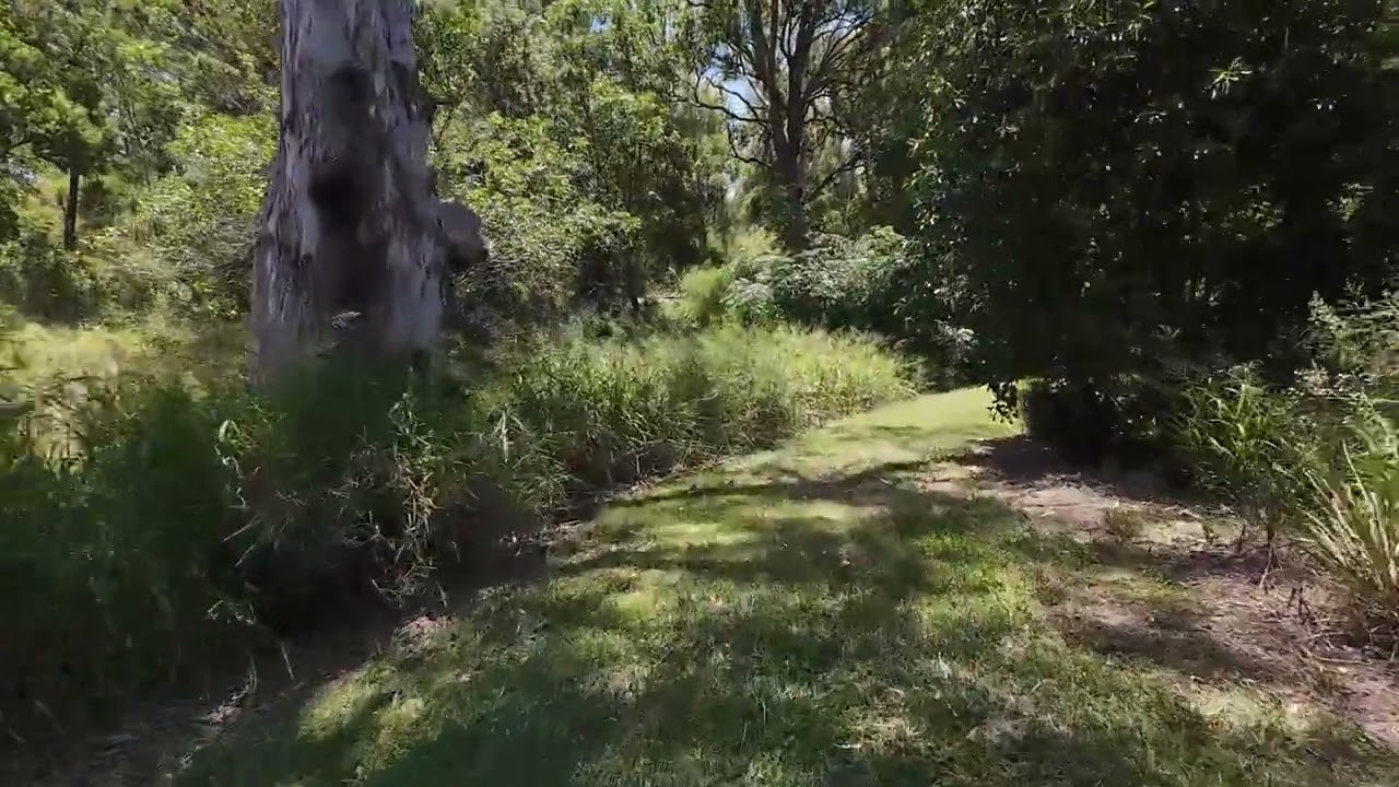 DJI Avata 2 flying over and around Kerwin Swamp 20260125