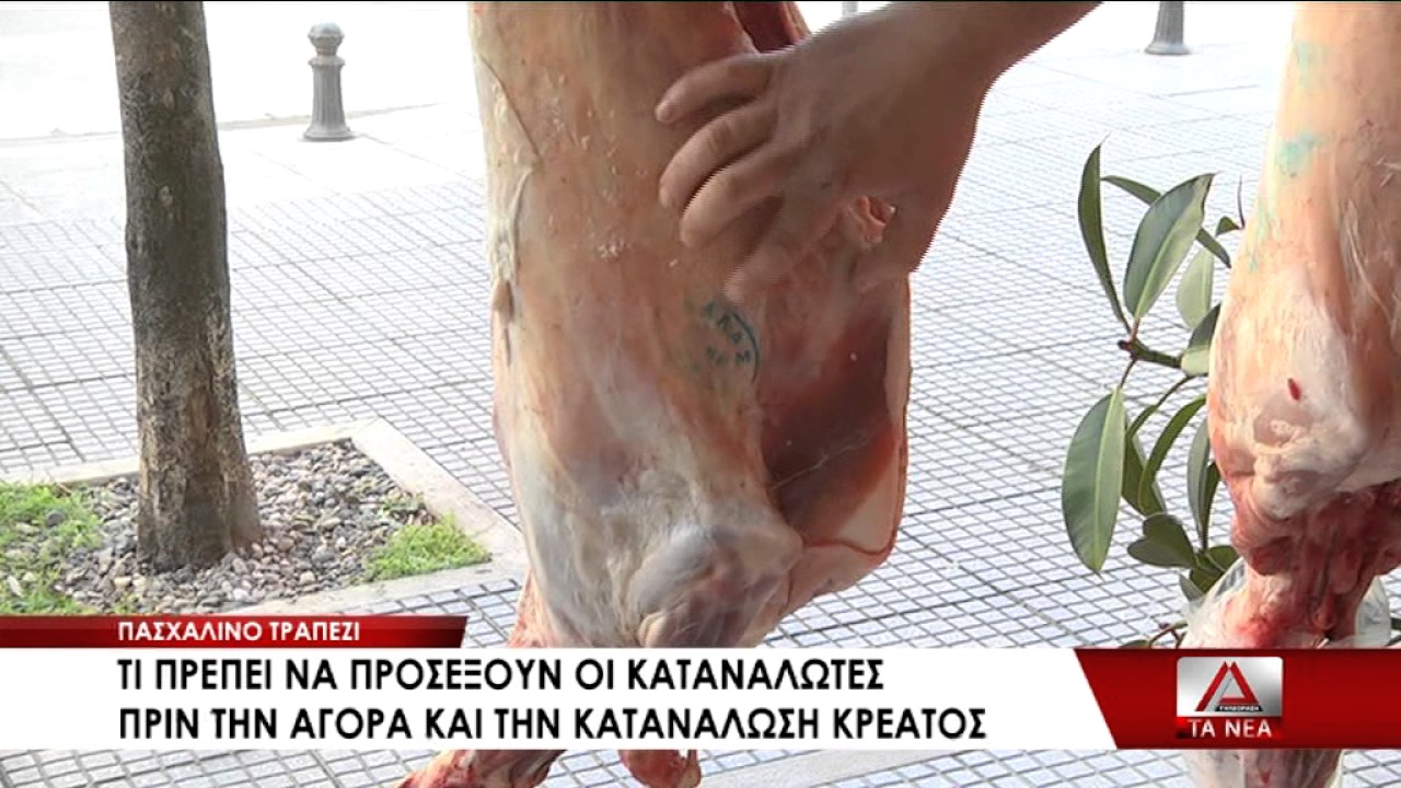 05 ODHGIES STOYS KATANALWTES ENOPSEI PASXA