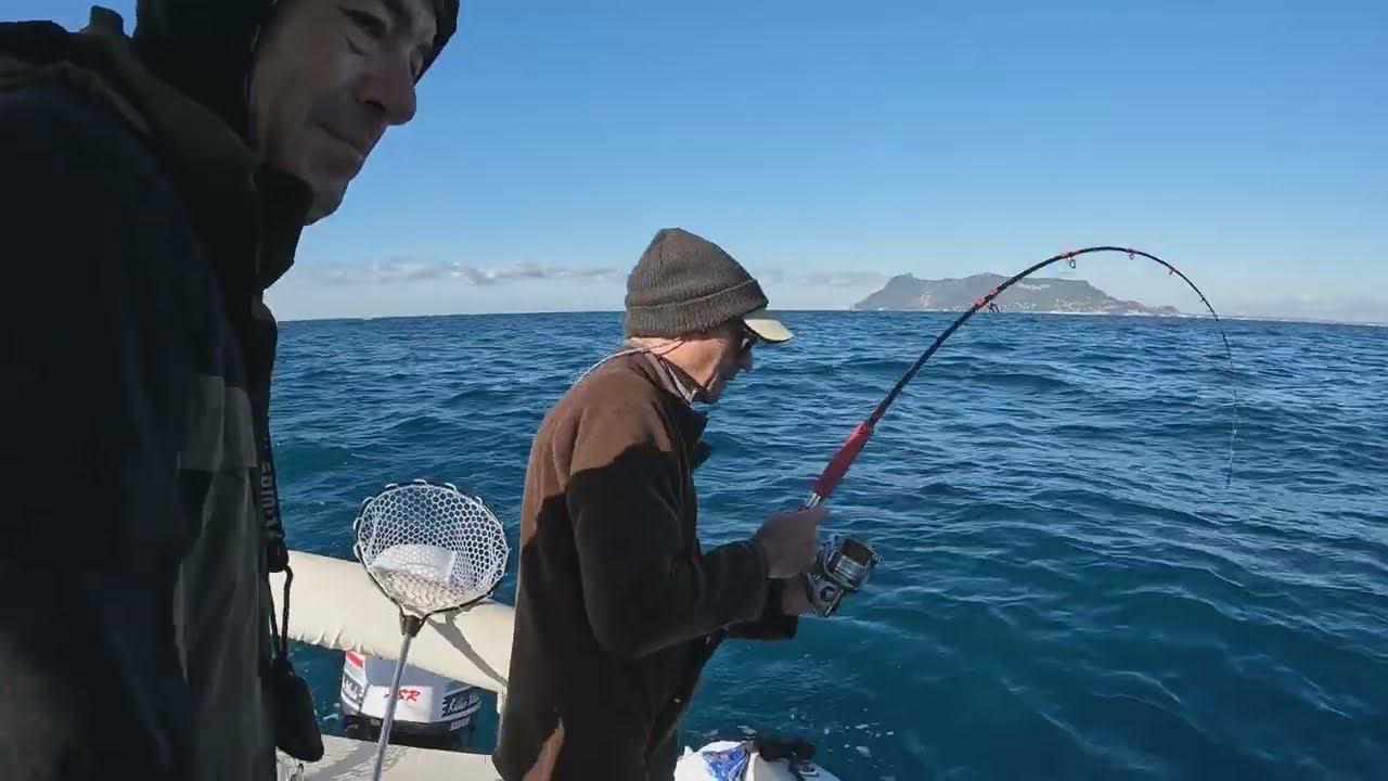 Pesco SEPPIE e CALAMARI poi arriva LEI e vivo un INCUBO