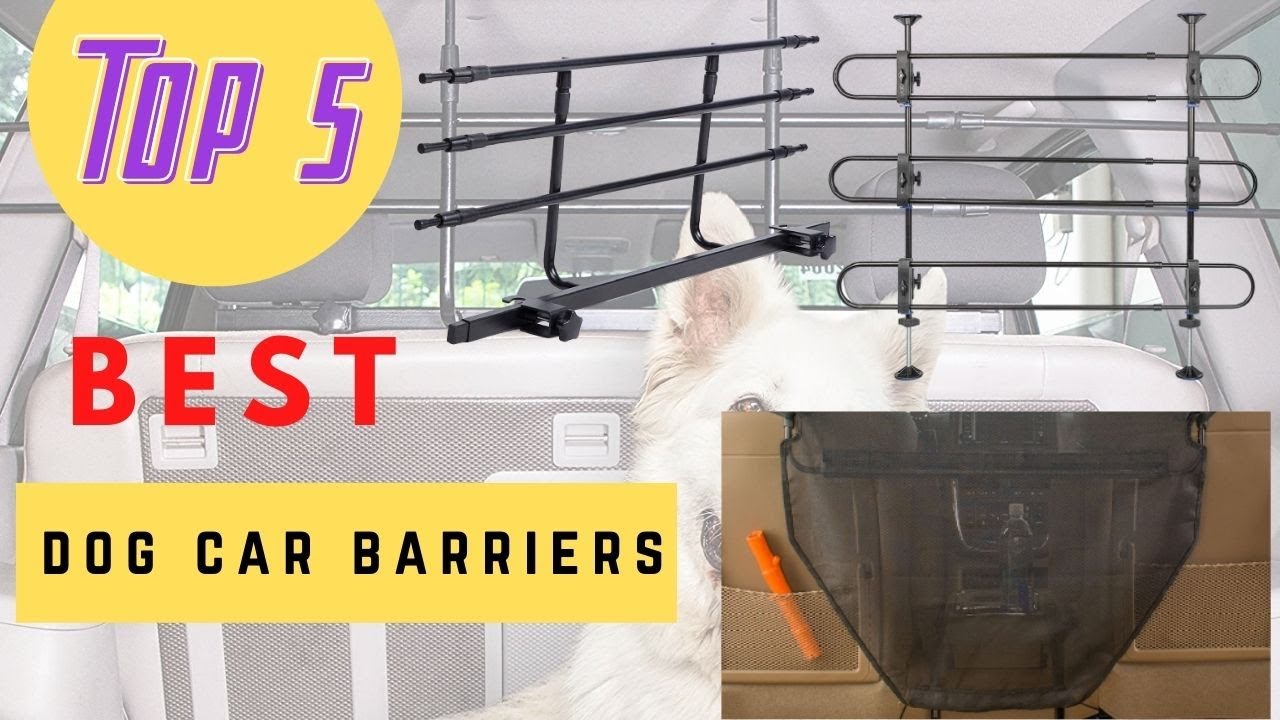 The Best Dog Car Barriers Review 2021