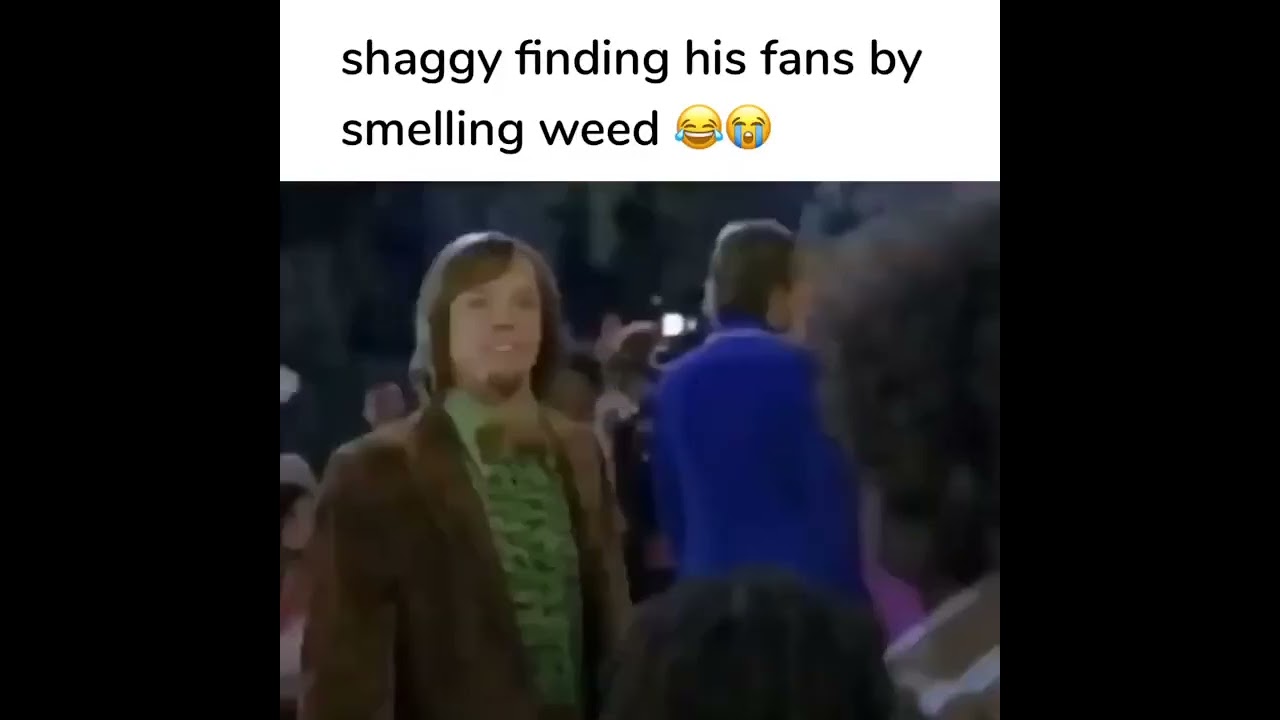 shaggy finding his fans by smelling weed