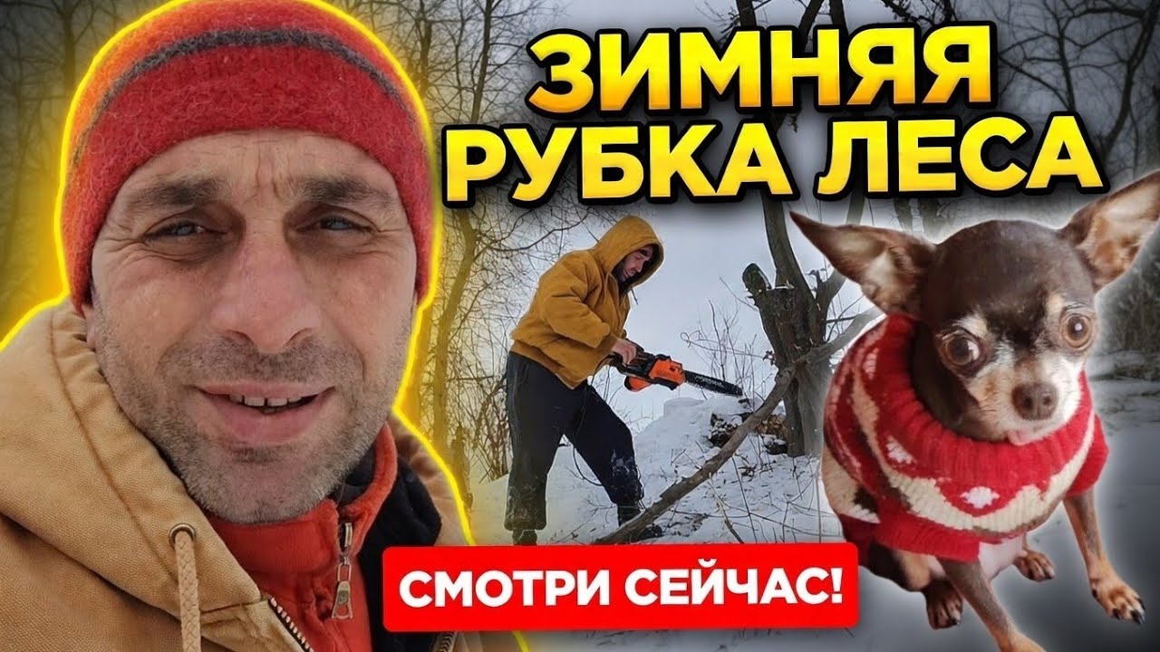 Соболезную пострадавшим. Своё сделал. Закончилась еда Ляли и Софы