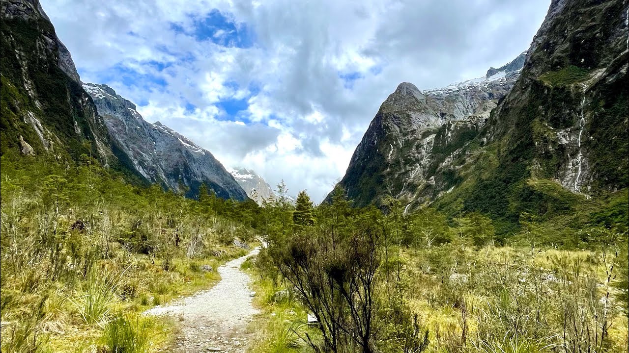 NZ - the nature shots aftermovie