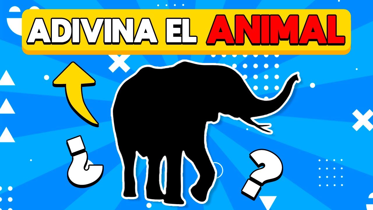 Adivina el Animal por su Silueta 🐻🌎🤔 | Test de Animales | DiverTrivia ✅