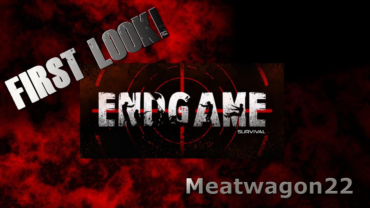 Hunting Rifle is Beast | Endgame Survival
