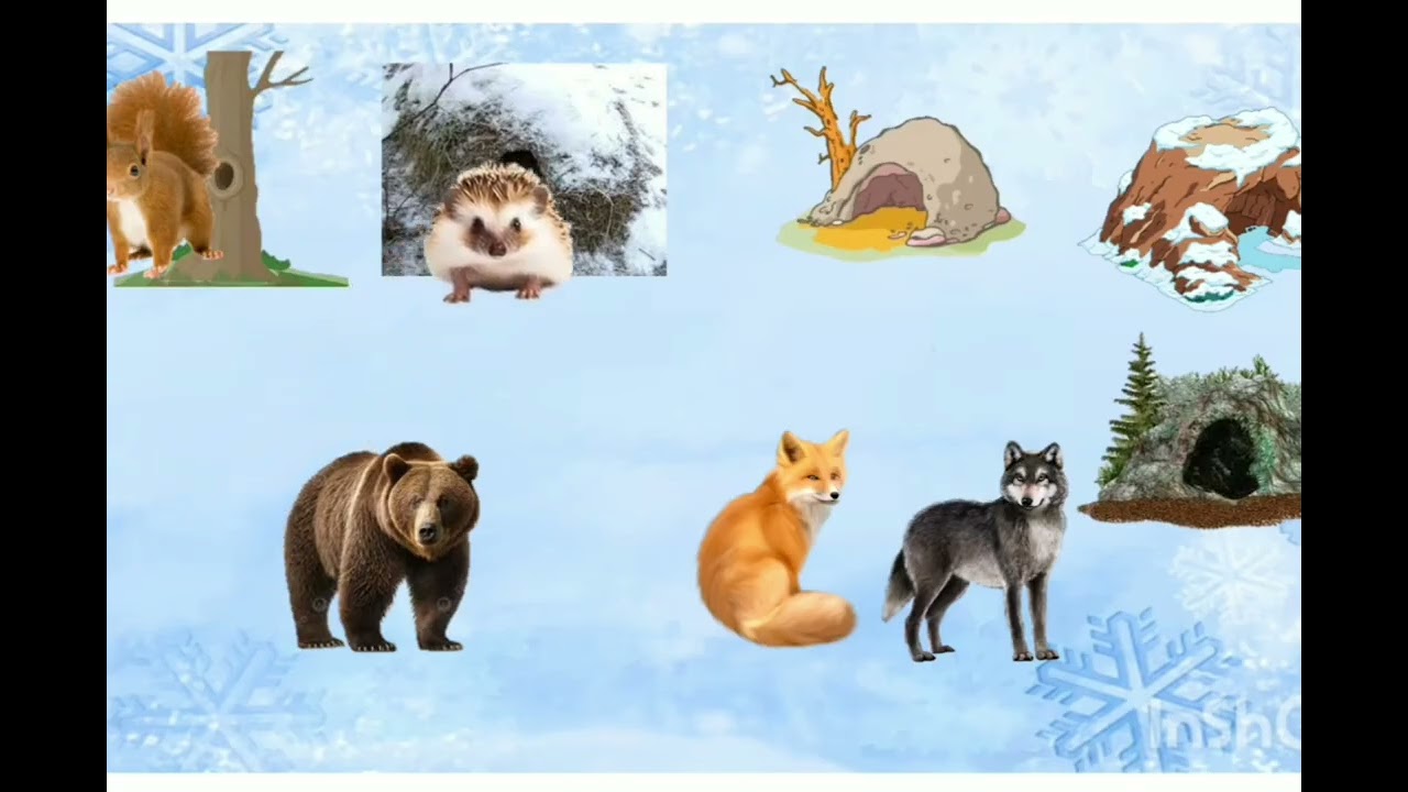 17 февраля 2026 г.