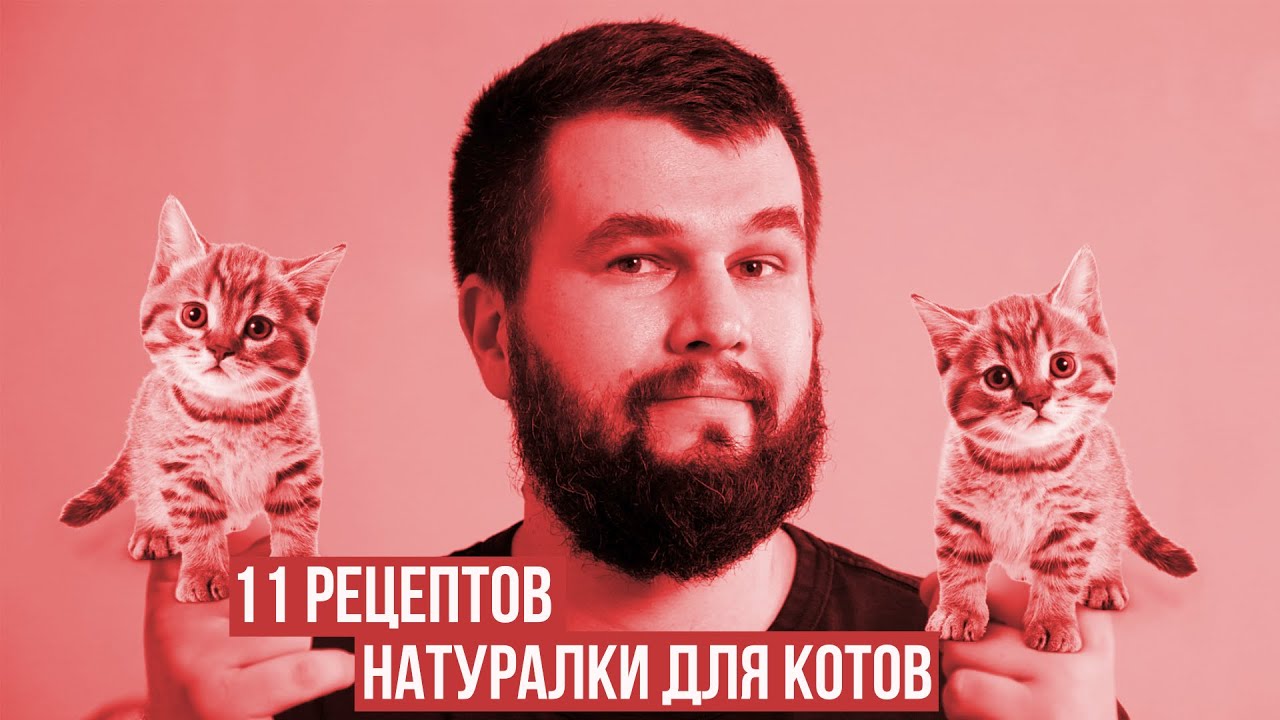 11 рецептов натурального питания для котов