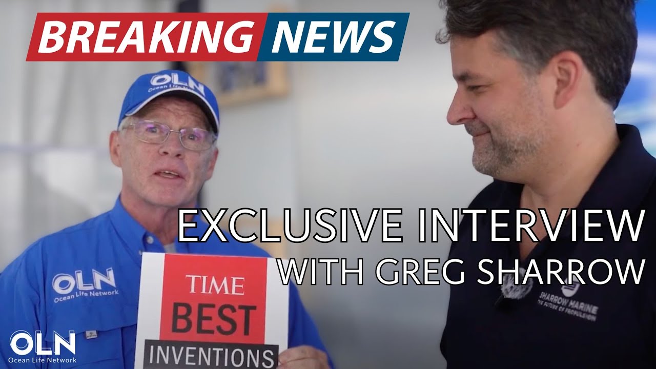 Exclusive Interview w/ Sharrow Marine | Ocean Life Network