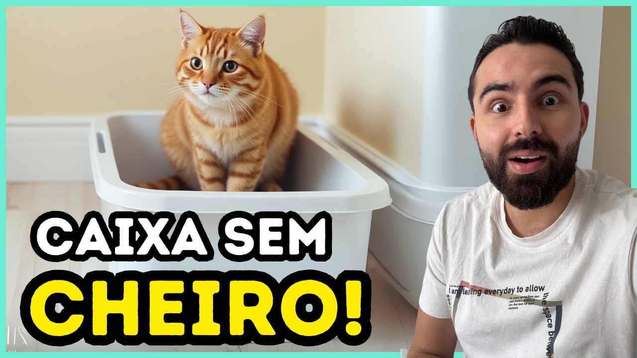 Faça ISSO e a Caixa De Areia Do Seu Gato NÃO VAI FEDER!