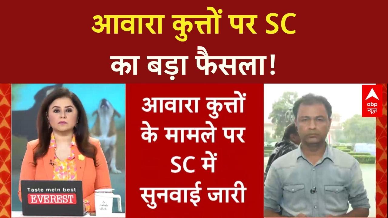 Stray Dogs: SC में सुनवाई पूरी, नगर निगम की विफलता पर कोर्ट सख्त, आदेश सुरक्षित!