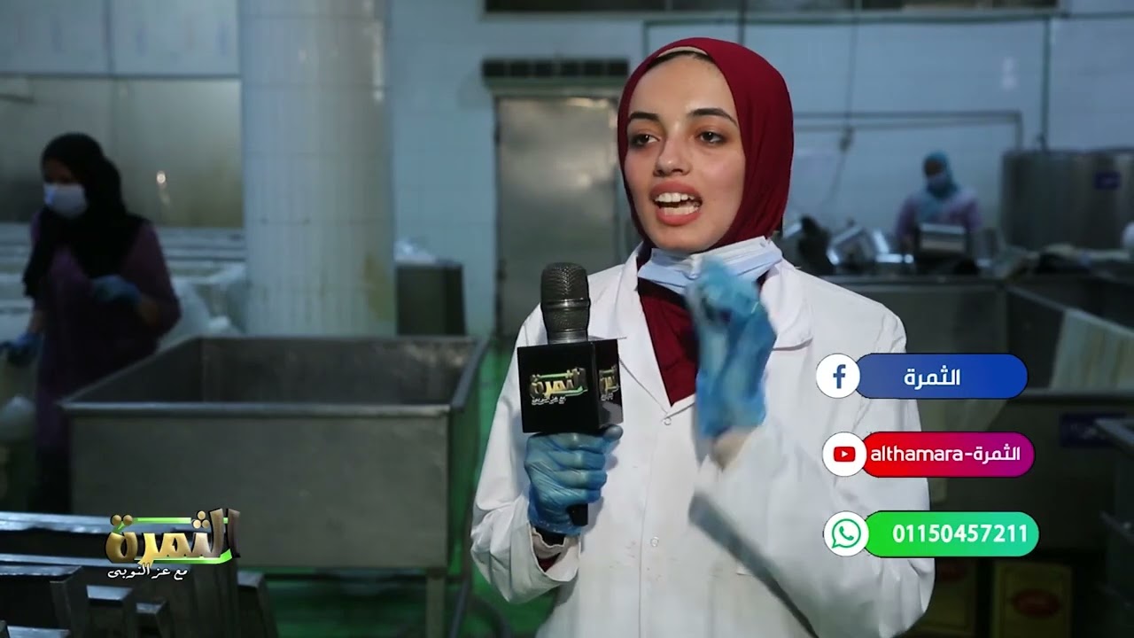 الثمرة يزور امبرطور  تصنيع الجبنة بالمنوفية 