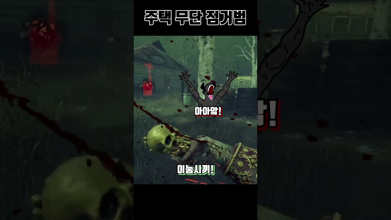 아메리칸 곰의 무단점거 #shorts