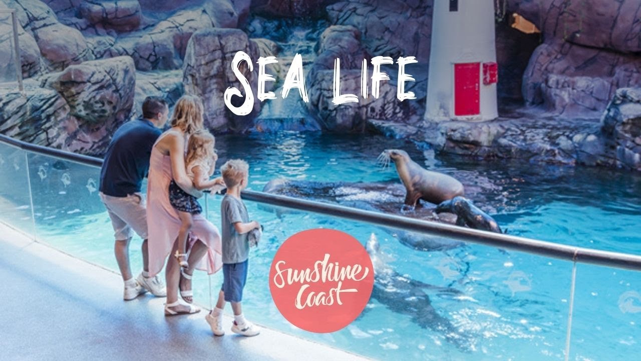 SEA LIFE Sunshine Coast, Mooloolaba