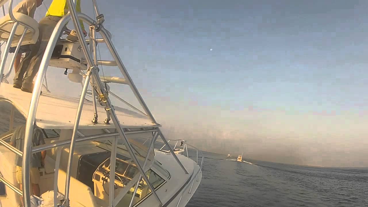 Raw Shadow video with pole camera