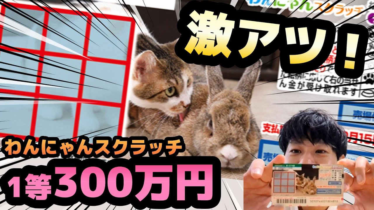 【神展開】激アツの1等300万円！ 【わんにゃんスクラッチくじ】衝撃のリーチ連発で高額当選なるか！？宝くじ大当たりの瞬間来い！