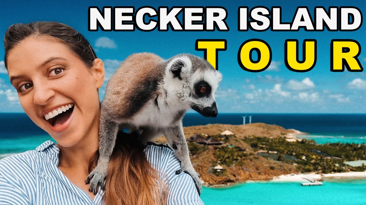 NECKER ISLAND WILDLIFE TOUR / Everything you need to know