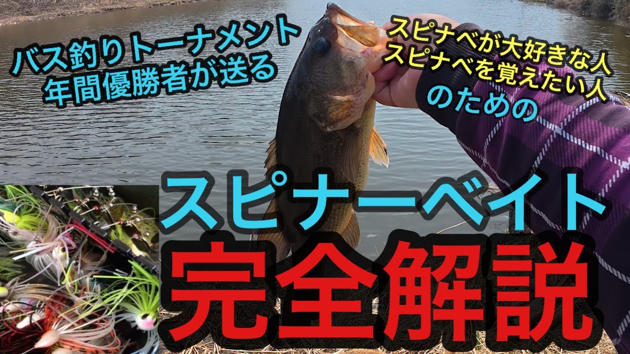 バス釣り年間優勝者が送る。完全解説「これがスピナーベイトです」