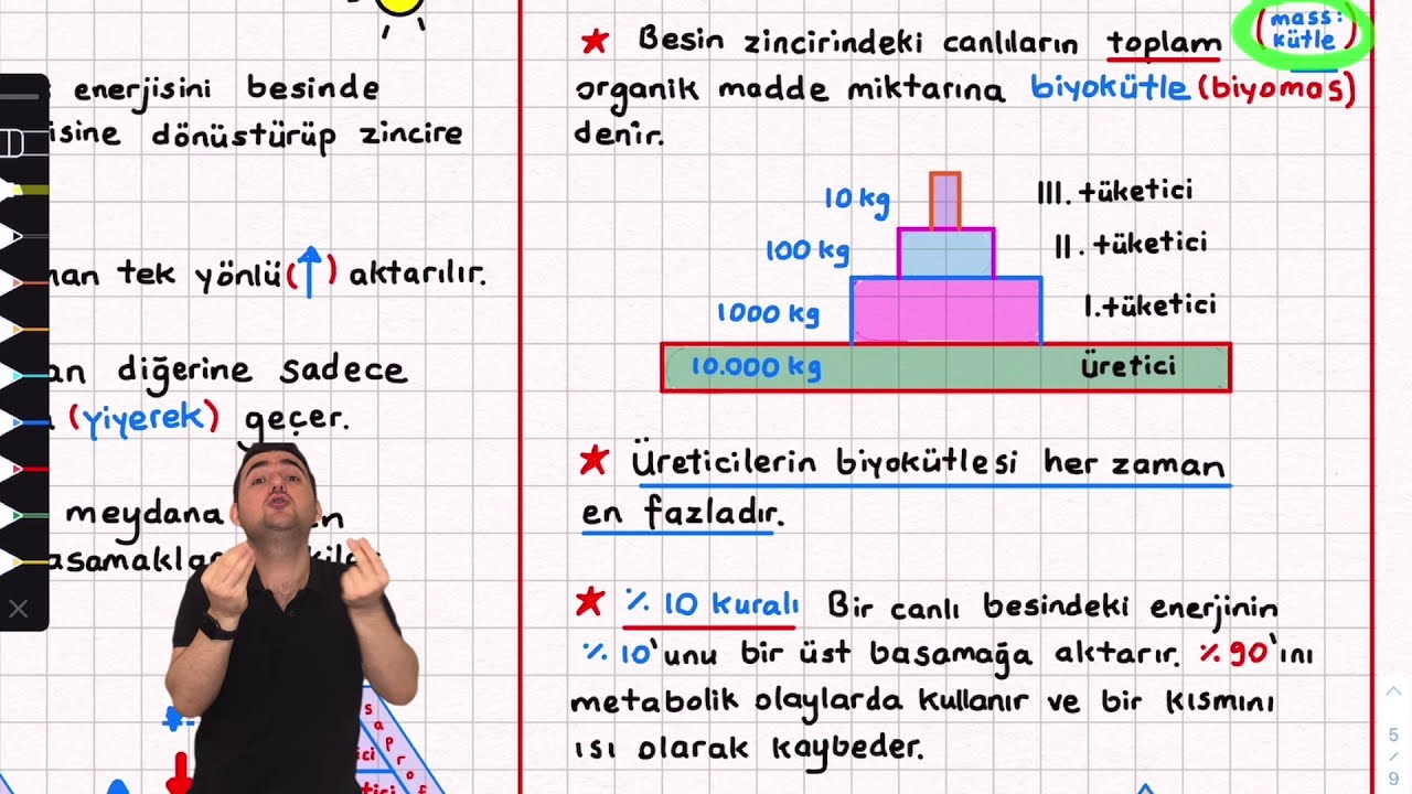 23-Ekosistemde Madde ve Enerji Akışı (Besin zinciri ve Besin Piramitleri)10. sınıf tyt ayt yks 2022