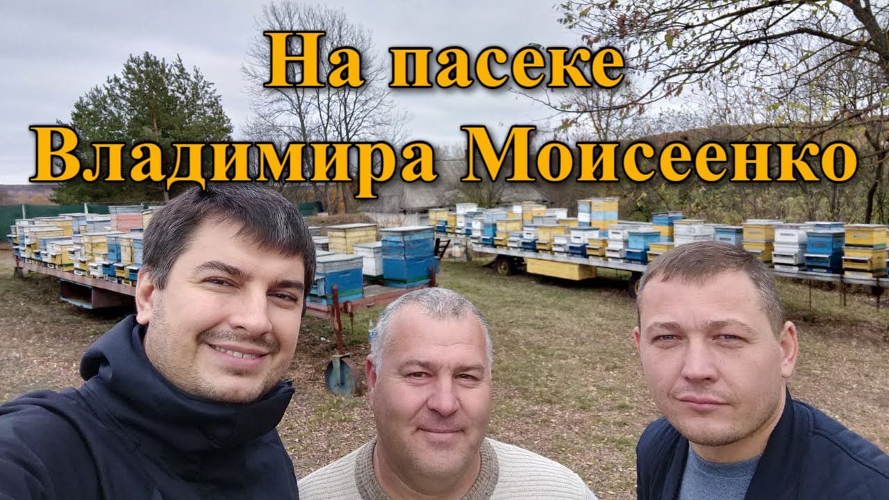На пасеке Владимира Моисеенко /#ПОДОРОЖПАСІКАМИУКРАЇНИ