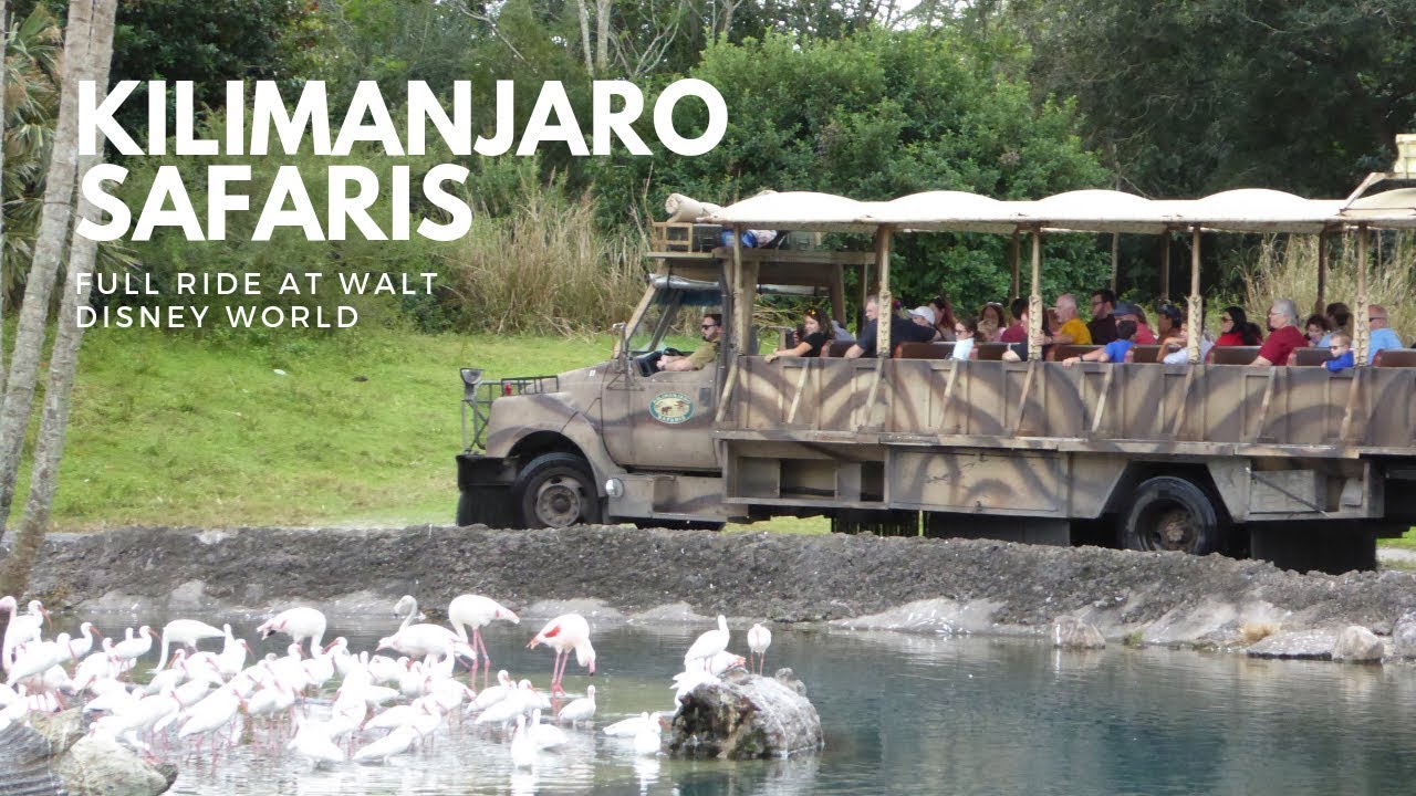 Kilimanjaro Safaris FULL RIDE at Disney's Animal Kingdom Walt Disney World
