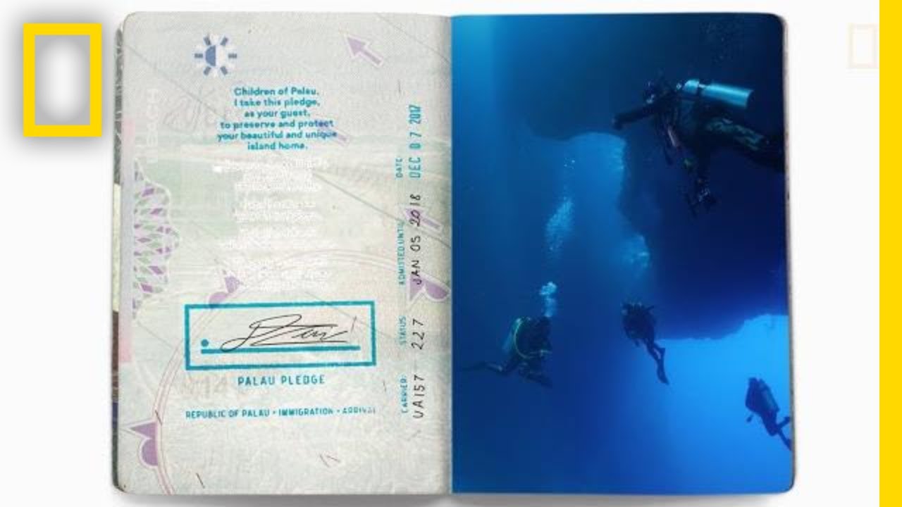 Palau's New Mandatory Eco-Pledge is the First of Its Kind | National Geographic
