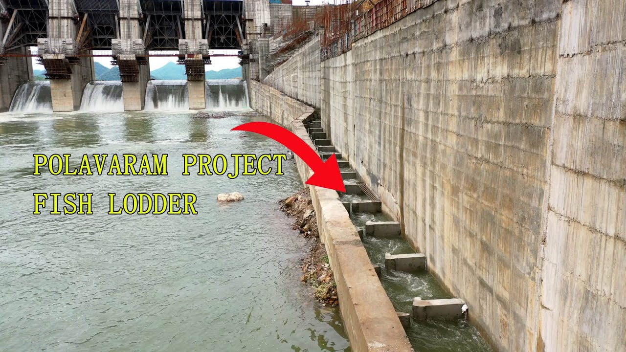 Fish Ladder in Polavaram Project
