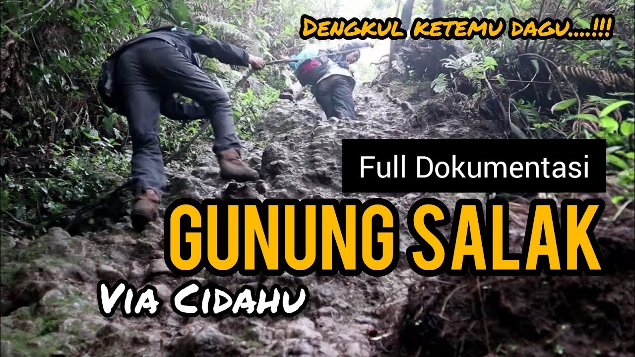 Gunung Salak Via Cidahu | Full Dokumentasi Jalur Pendakian