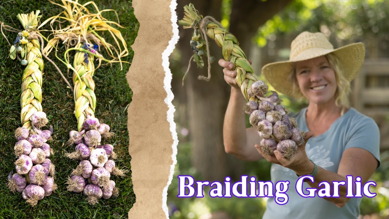 Mastering the Art of Garlic Braiding!