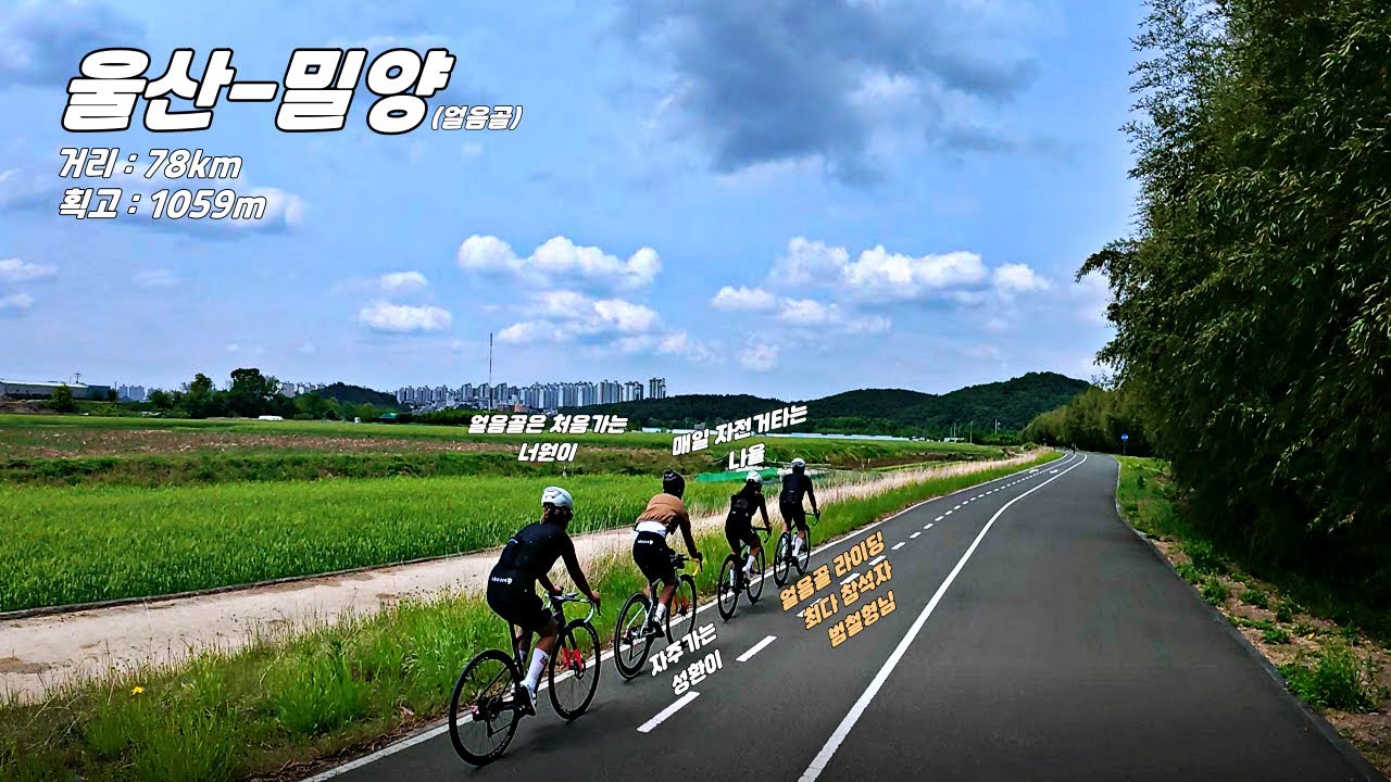 울산에서 밀양 얼음골 거리 78km 획고 1050m (피세이그란폰도 취소) 땜빵라이딩