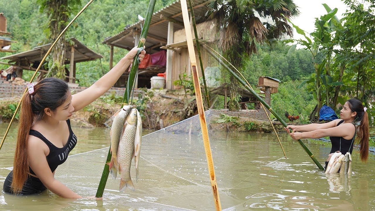 farm life - catch fish, cook live with nature, triệu lily