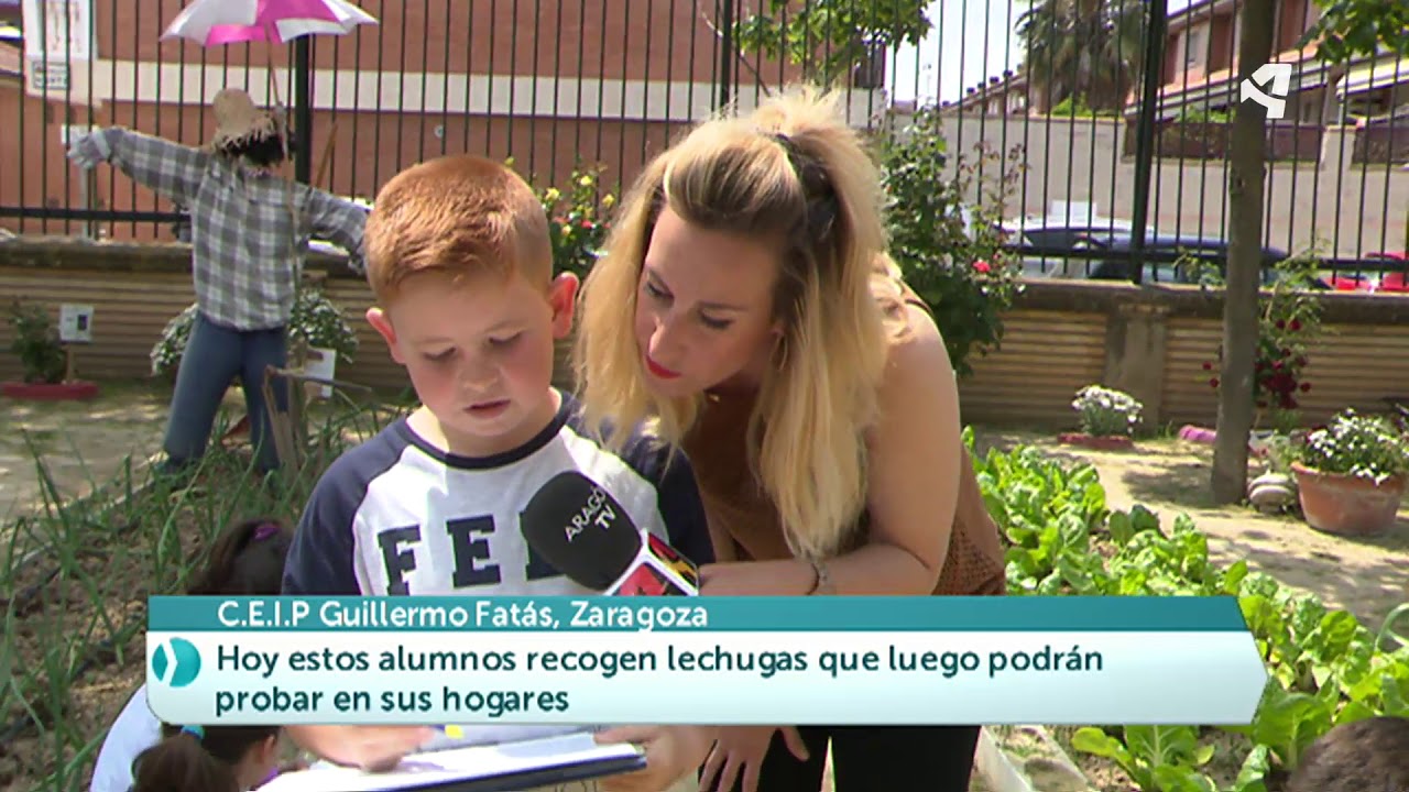 HUERTO ECOLÓGICO GUILLERMO FATÁS  Reportaje Aragón en abierto 07052018
