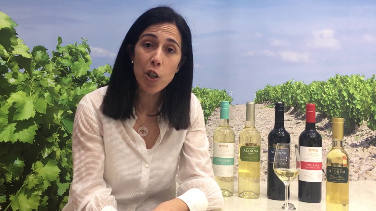 Quinta da Alorna, Arinto Colheita Tardia