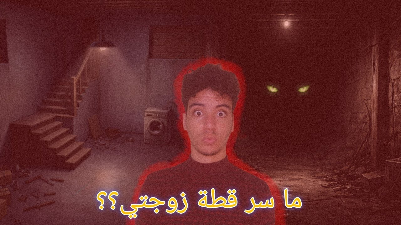 قطة زوجتي كشفت سري!! القطة رأت ما لم يره أحد، والسر أصبح لعنة تسكن داخلي.