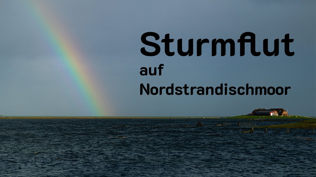 Sturmflut auf der Hallig Nordstrandischmoor - 05.10.2025 | Natur vor der Haustür - Folge 002