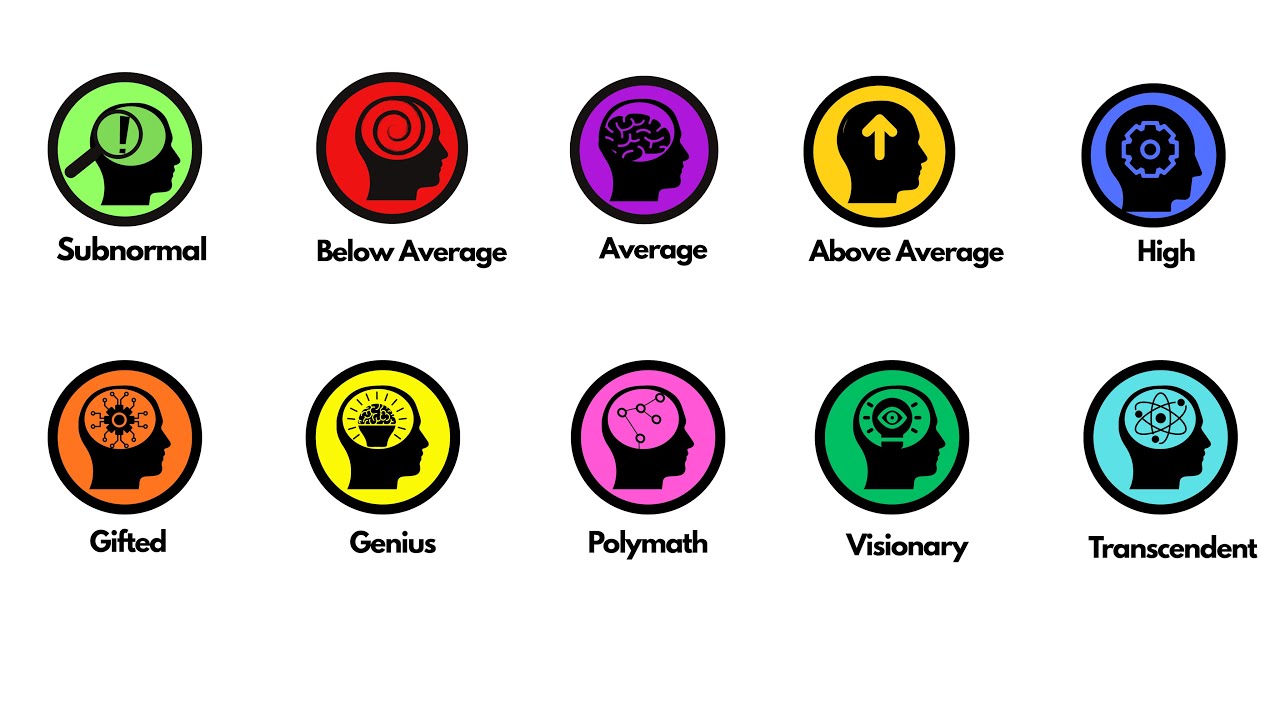Every type of Human Intelligence Explained In 10 Minutes | Where Do You Fit?