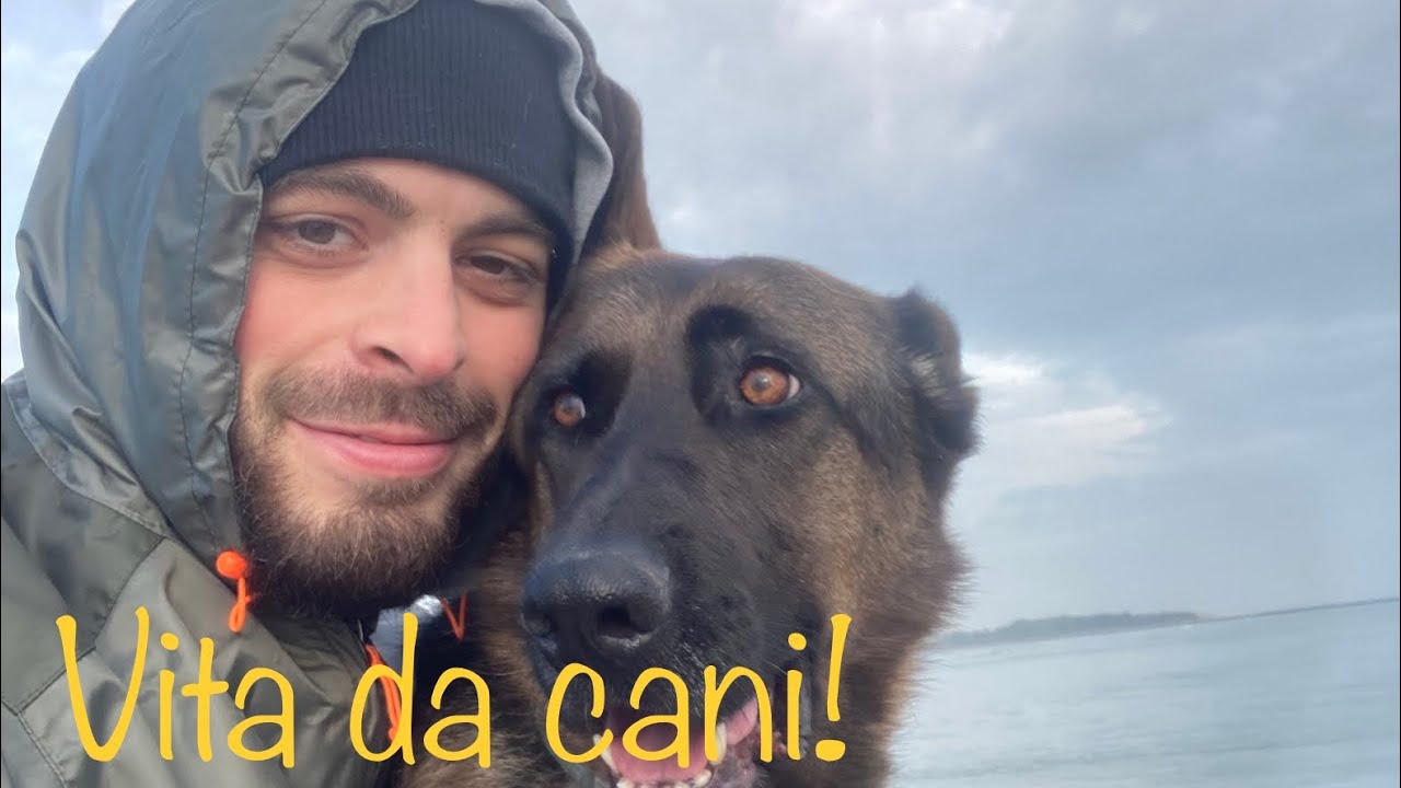 Vita da cani!: camper e cani