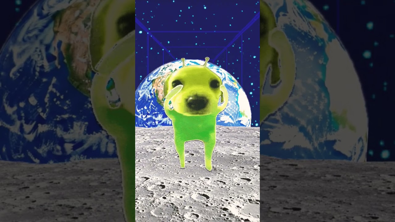 los tomatoes the say phablo l