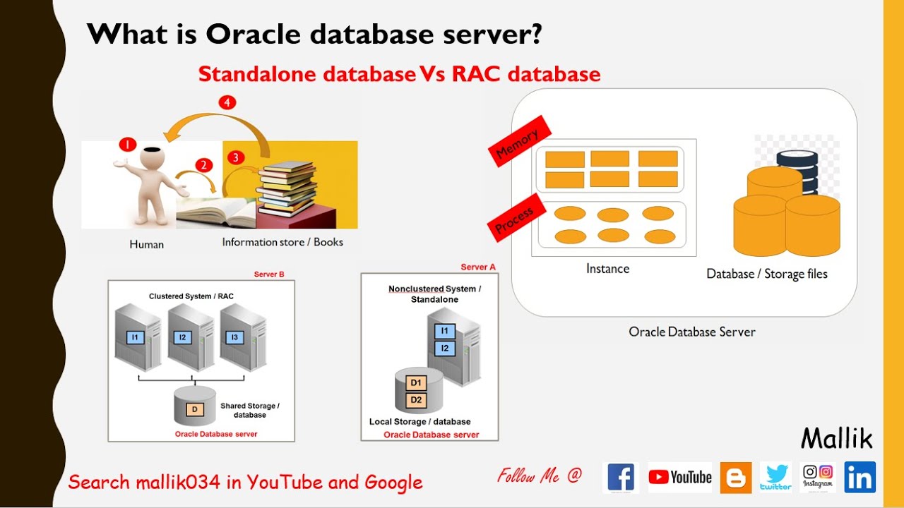 CPT 1: Что такое Oracle Database Server? Что такое экземпляр? Что такое Oracle Database?