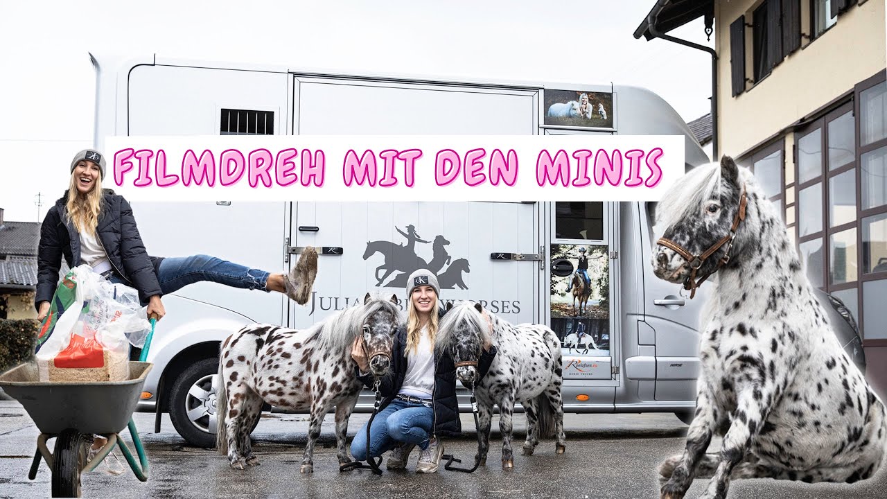 Filmdrehs mit den Ponys😱😍