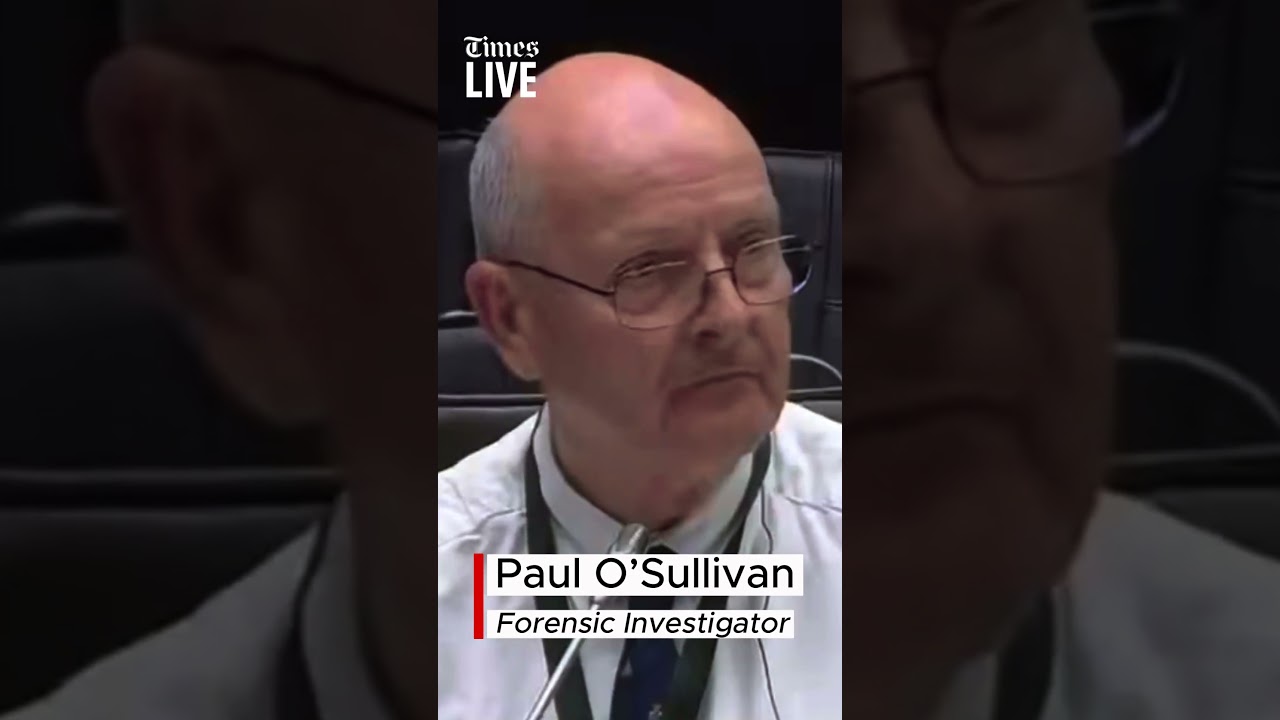 ActionSA MP Deerleen James alleging Paul O&rsquo;Sullivan received R100K