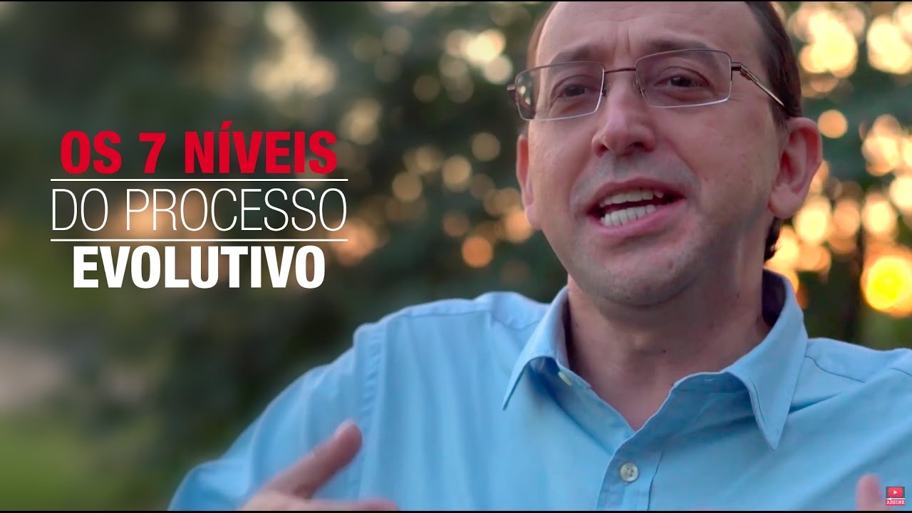 Os 7 Níveis do Processo Evolutivo - Inteligência Emocional