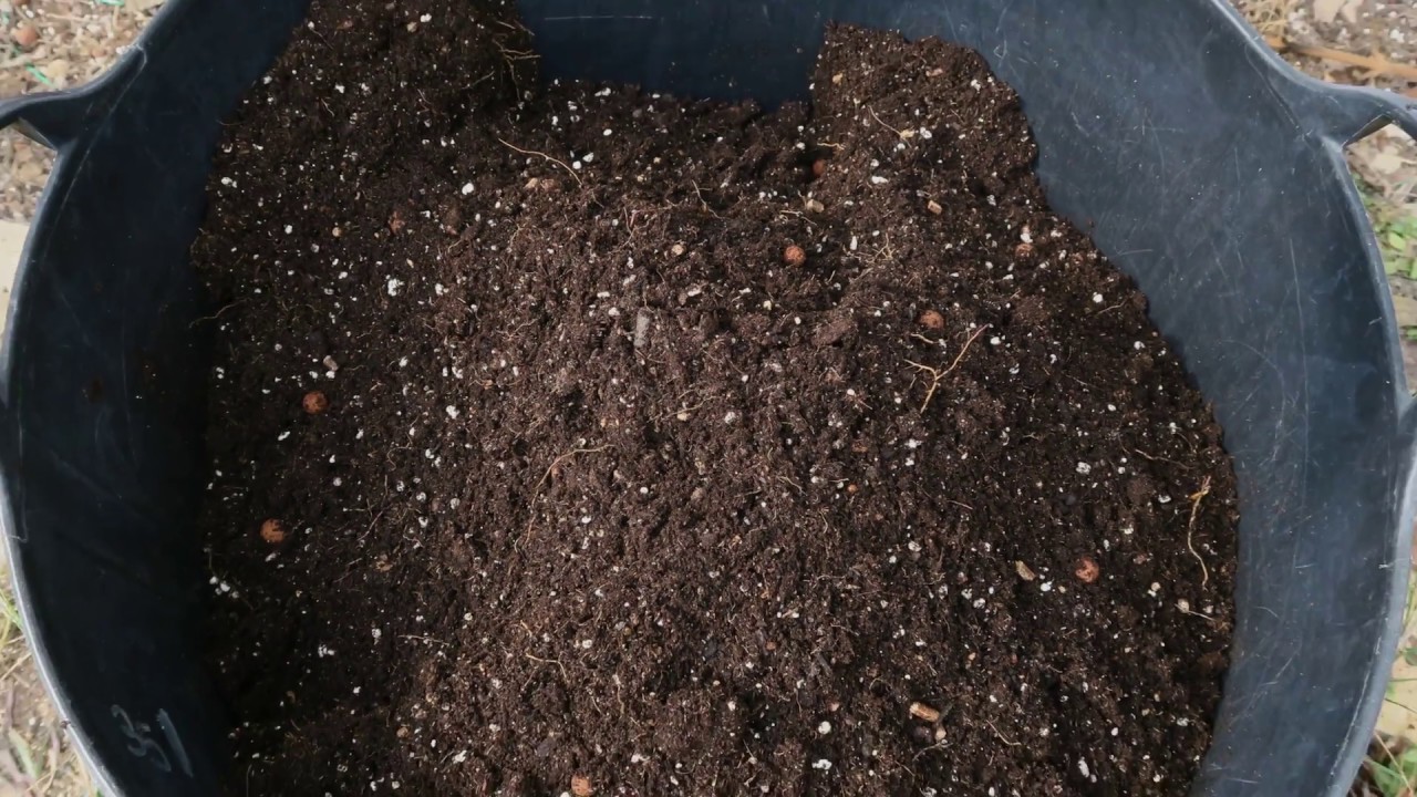 HOW TO RECYCLE SUBSTRATE WITH B.A.C. PRODUCTS.