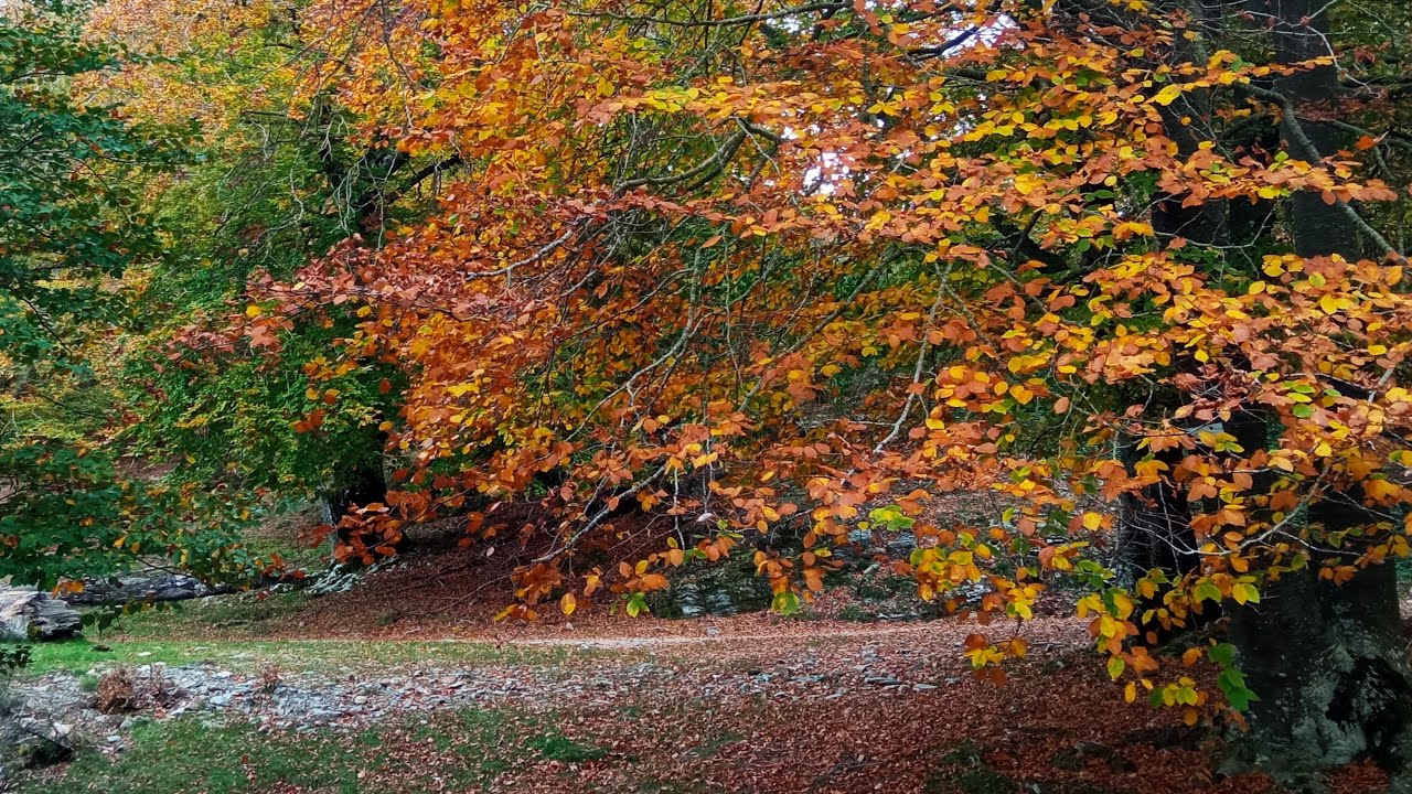 Ruta Zen 19,  Bienvenidos al otoño, PN Montseny, Matagalls.