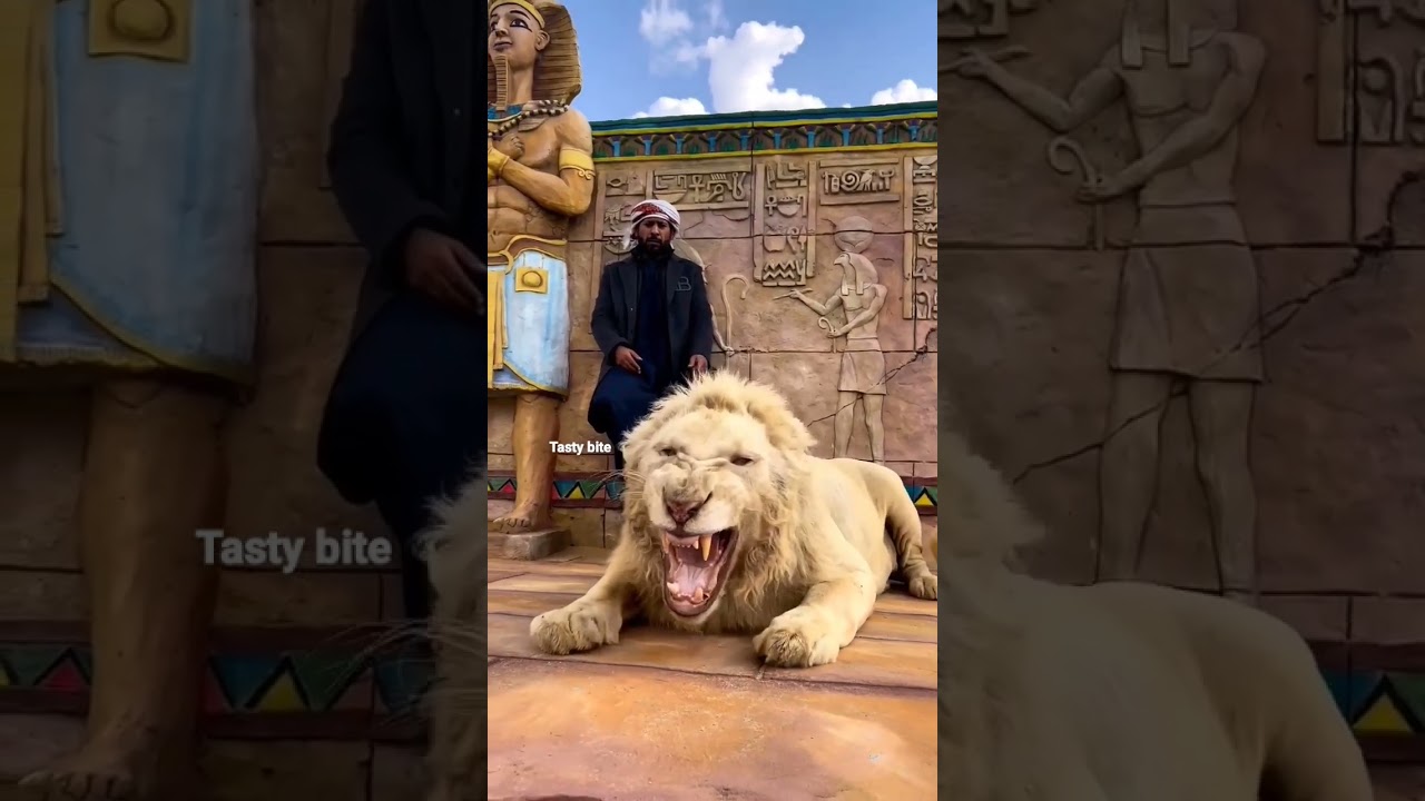 Dubai zoo #shorts #dubaizoo #travel