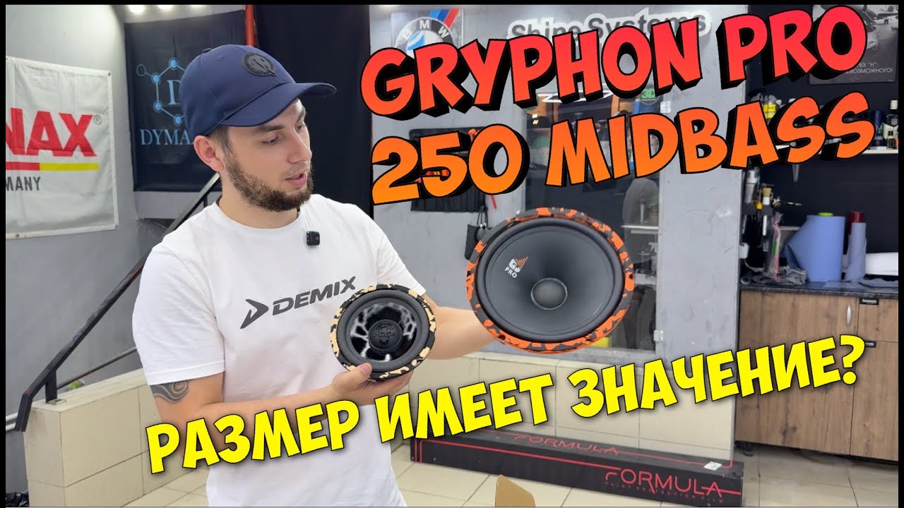 Огромные динамики МИДБАСС DL AUDIO GRYPHON 250