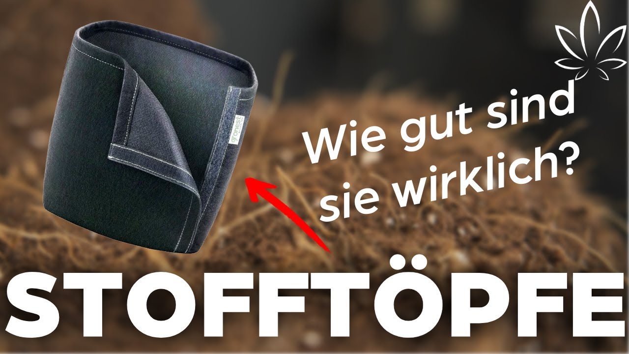 STOFFT&Ouml;PFE: Vorteile, Nachteile & echte Ergebnisse &ndash; das passiert WIRKLICH mit deinen Wurzeln!🌱
