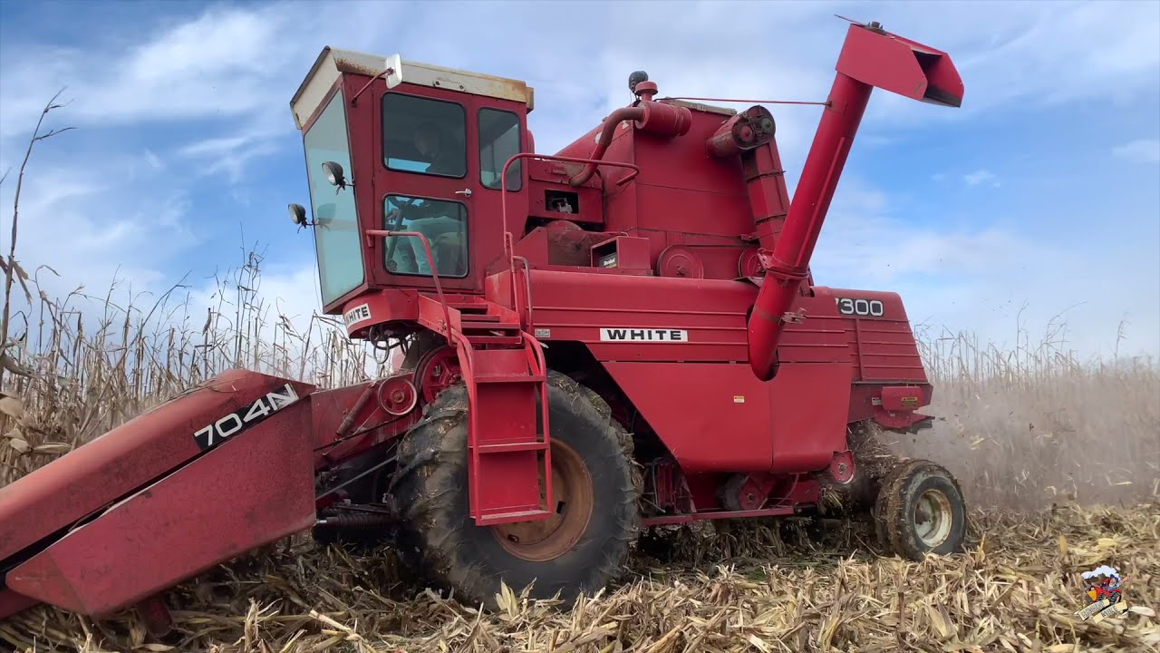 2021 Corn Harvest like back in the day - VINTAGE