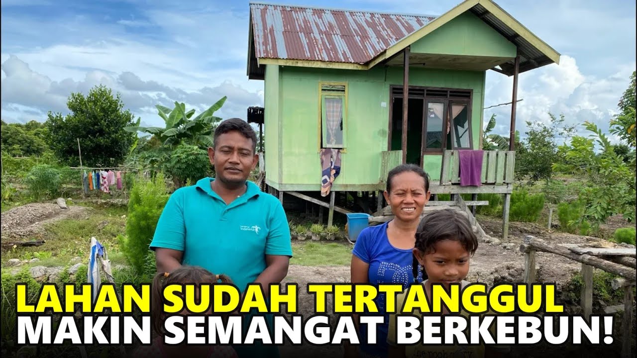HARAPAN BARU DI LAHAN PAK SUDARSONO, PETANI TRANSMIGRASI ASAL KALASAN, JOGJAKARTA DI SP6B BULUNGAN