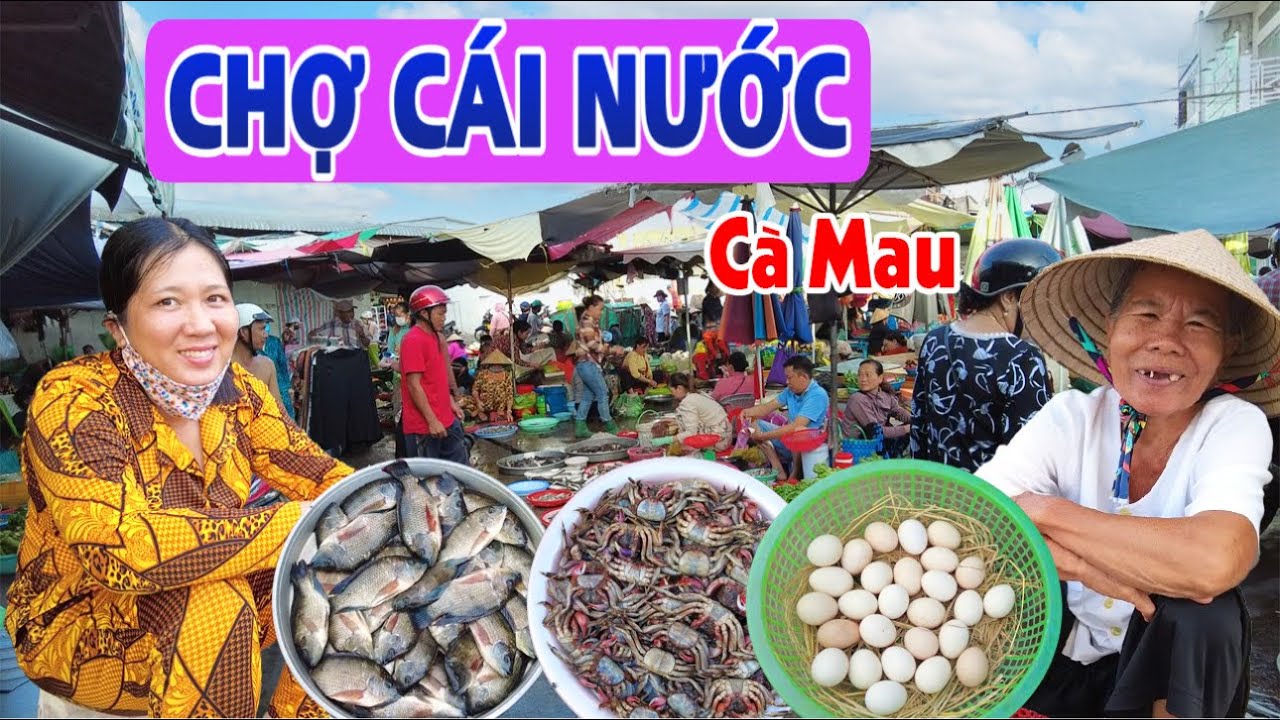 Thăm Chợ Cái Nước Cà Mau: Tôm, Cá Đồng Quá Trời, Bà Con Thân Thiện Dễ Mến | Đây Đó Miền Tây